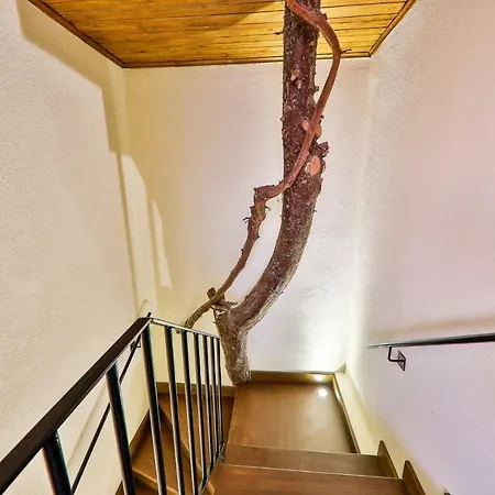 Villa Rubick - Kalkan